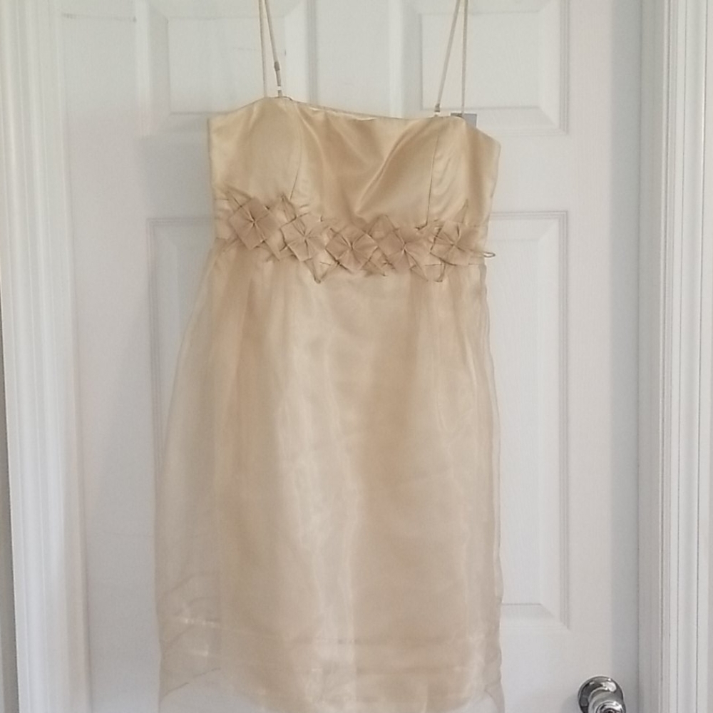 Dress - Picture 3 of 3
